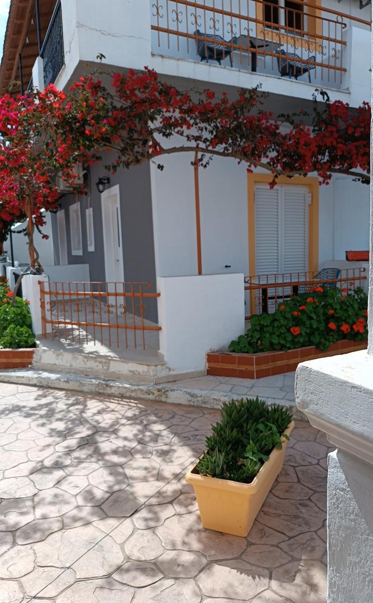 Sofia Beach Apartments Kávos Exterior foto