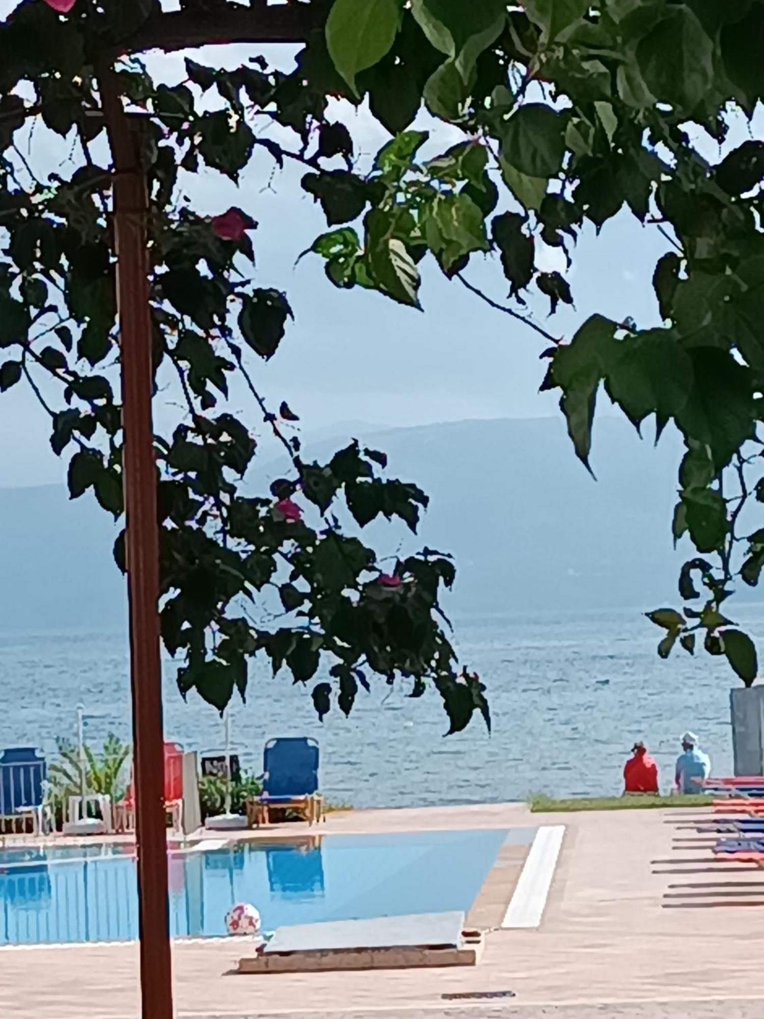 Sofia Beach Apartments Kávos Exterior foto